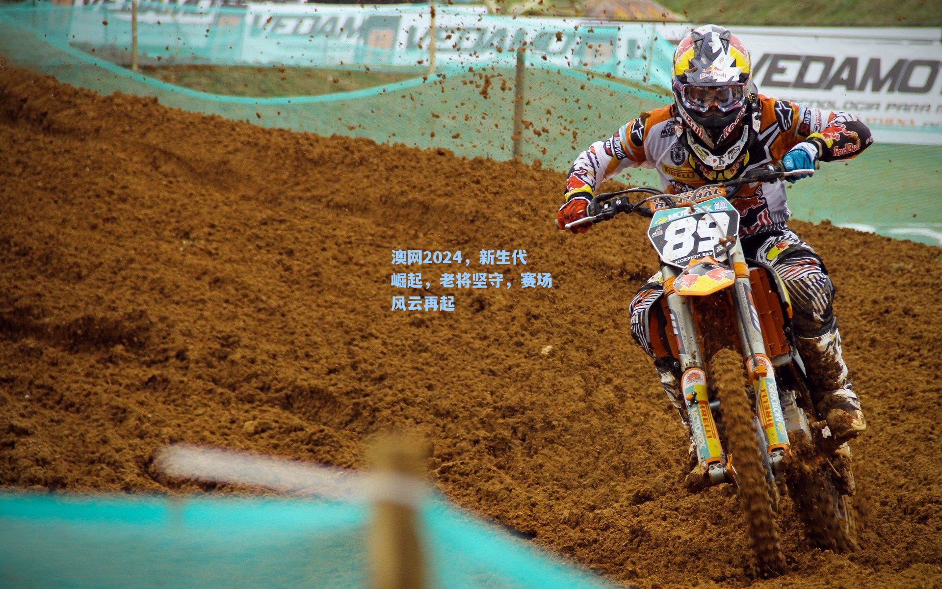 澳网2024,新生代崛起,老将坚守,赛场风云再起