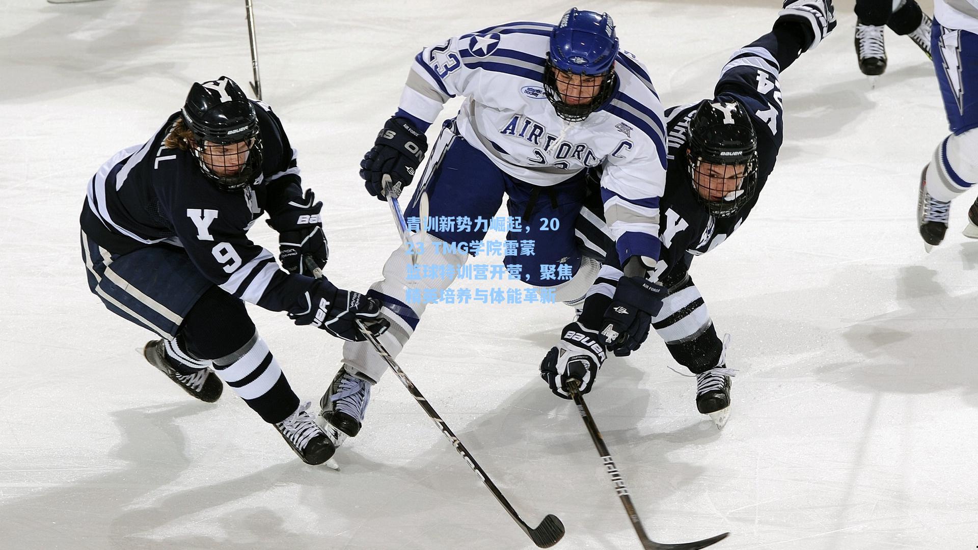 青训新势力崛起,2023 TMG学院雷蒙篮球特训营开营,聚焦精英培养与体能革新